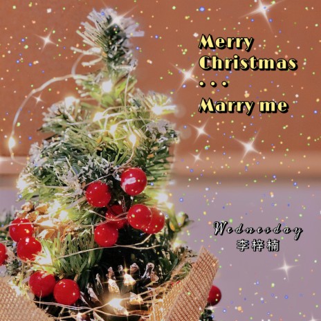 Merry Christmas...Marry me | Boomplay Music