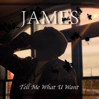 Tell Me What U Want lyrics | Boomplay Music