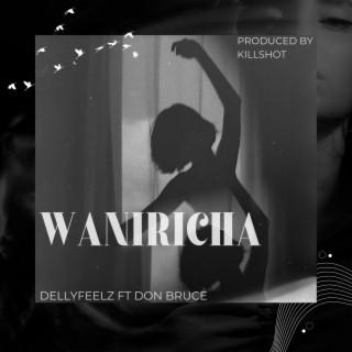 Waniricha ft. Don Bruce lyrics | Boomplay Music