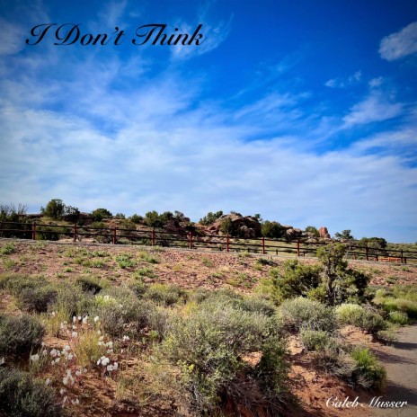 I Don't Think | Boomplay Music