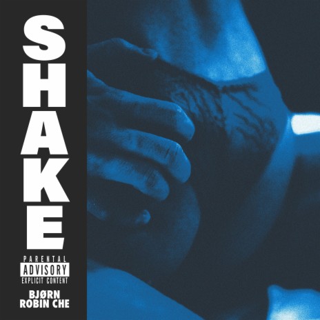 Shake ft. Robin Che | Boomplay Music