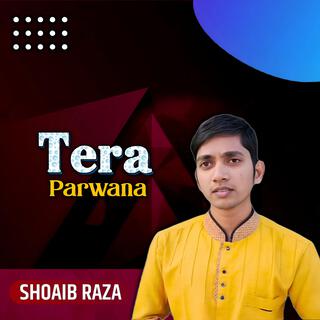 Tera Parwana