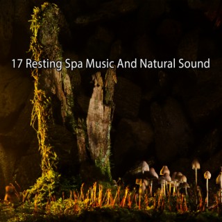 17 Resting Spa Music And Natural Sound