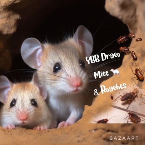 Mice & Roaches | Boomplay Music