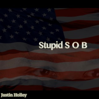 Stupid S O B