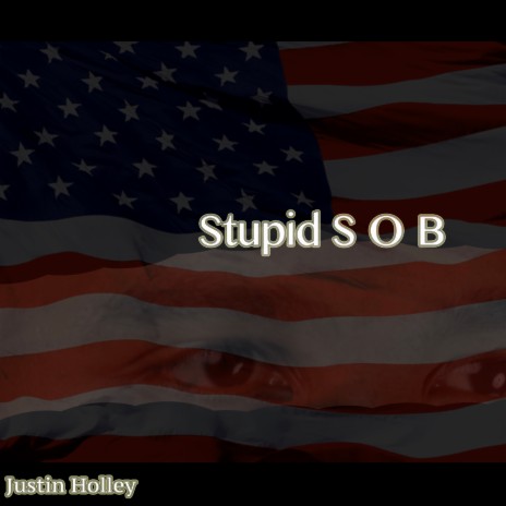Stupid S O B | Boomplay Music