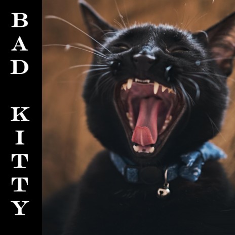 Bad Kitty | Boomplay Music