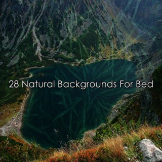 28 Natural Backgrounds For Bed