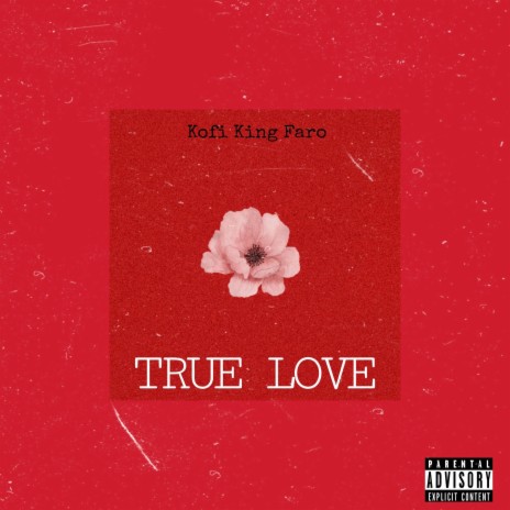True Love ft. Perkie Blinkz