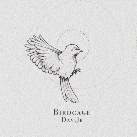 Birdcage | Boomplay Music