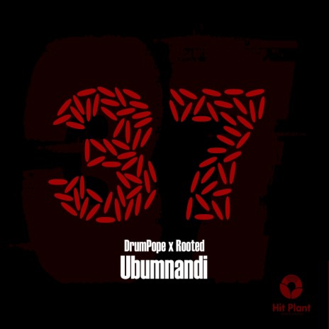 Ubumnandi ft. Rooted | Boomplay Music