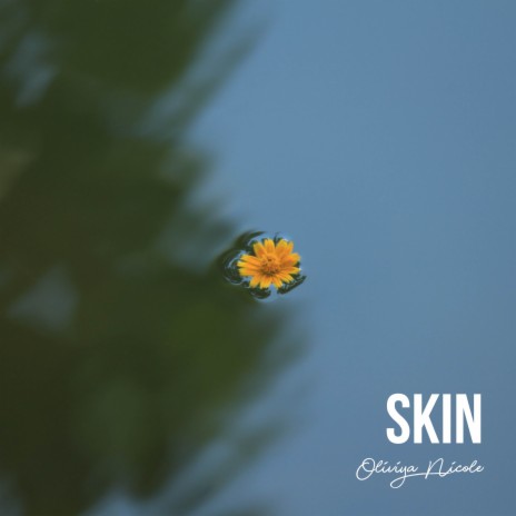 Skin | Boomplay Music