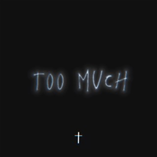 Too Much lyrics | Boomplay Music