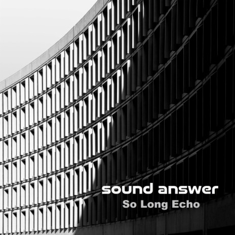 So Long Echo | Boomplay Music