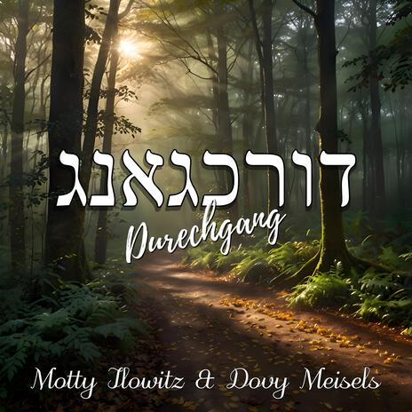 דורכגאנג - Durechgang ft. Dovy Meisels | Boomplay Music