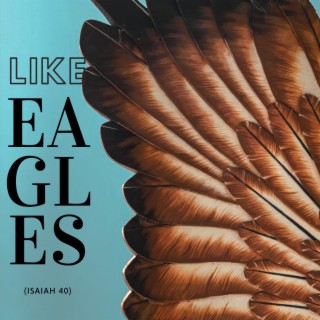 Like Eagles lyrics | Boomplay Music