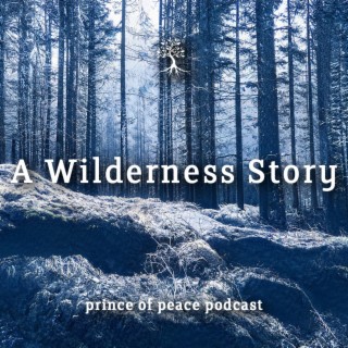 A Wilderness Story