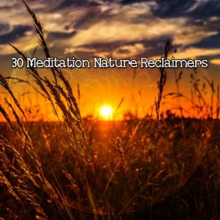 30 Meditation Nature Reclaimers