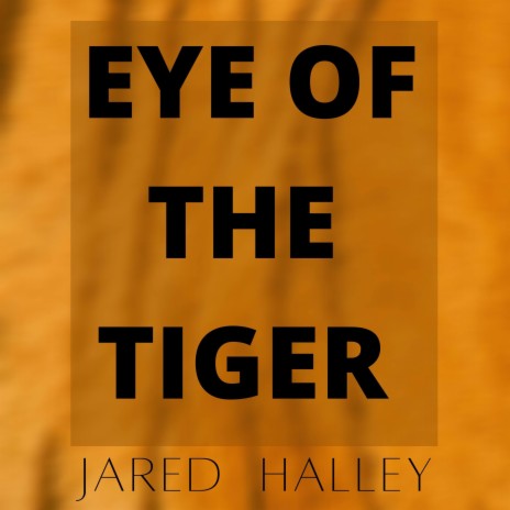 Eye of the Tiger | Boomplay Music