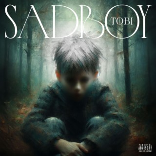 SadBoy lyrics | Boomplay Music