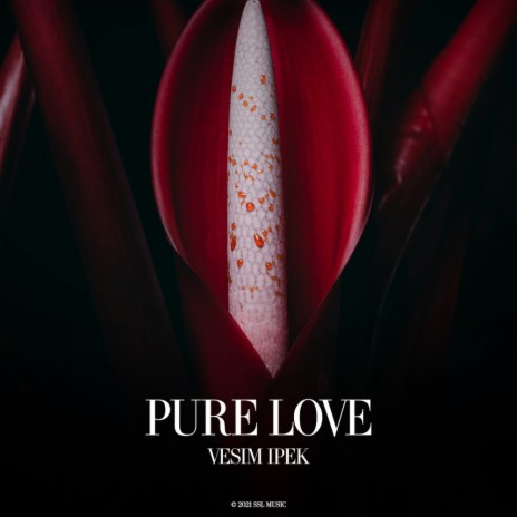 Pure Love (Original Mix)