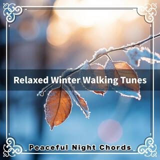 Relaxed Winter Walking Tunes