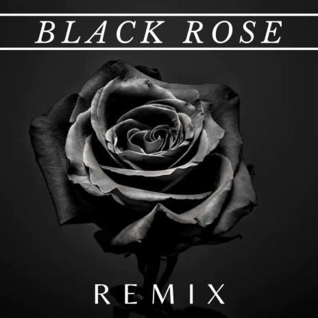 Black Rose | Boomplay Music