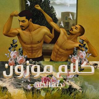 كلام موزون