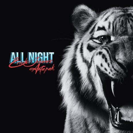 All Night ft. Antepek | Boomplay Music