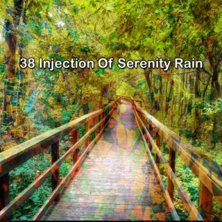38 Injection Of Serenity Rain