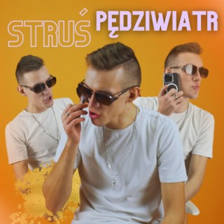 STRUŚ PĘDZIWIATR