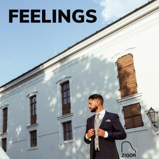 Feelings