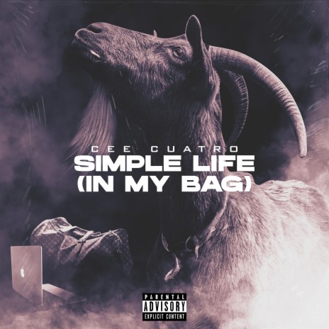 Simple Life (In My Bag) | Boomplay Music