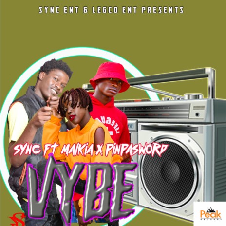 Vybe ft. malkia & pinpasword | Boomplay Music