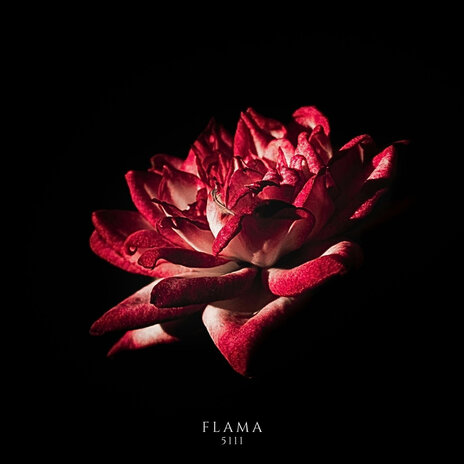 Flor de sangre | Boomplay Music