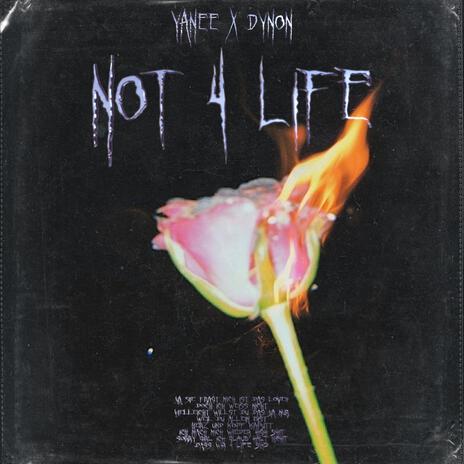 not 4 life ft. Dynon | Boomplay Music