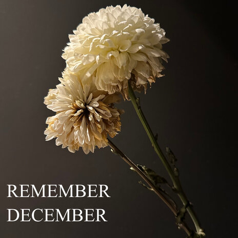 Remember December | Boomplay Music