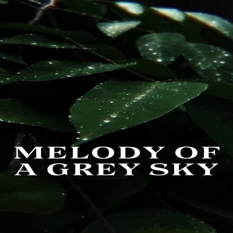 Melody of a Grey Sky ft. peter Graham & R.Guru | Boomplay Music