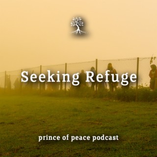 Seeking Refuge