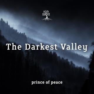The Darkest Valley