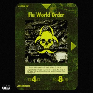 FLU WORLD ORDER lyrics | Boomplay Music