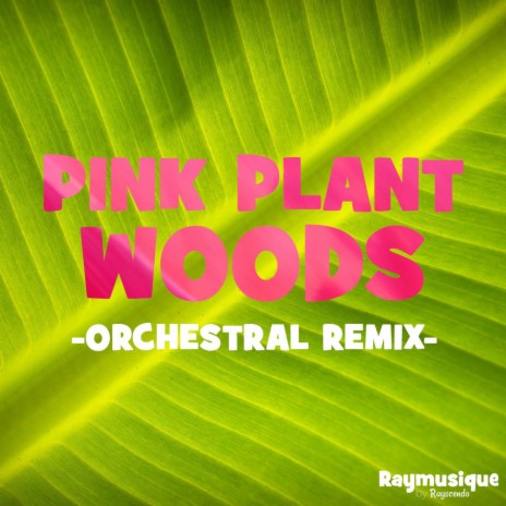 Pink Plant Woods (From Rayman Forever) | Boomplay Music