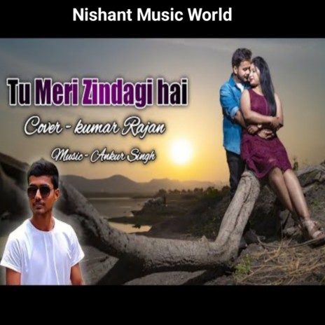 Tu Meri Jindagi Ho | Boomplay Music