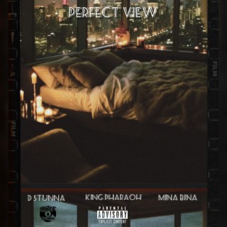Perfect View ft. King Pharaoh, Mina Bina & D Stunna lyrics | Boomplay Music
