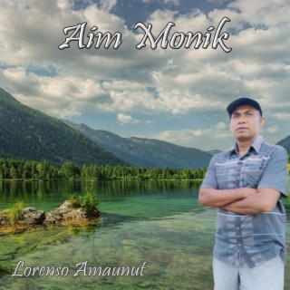 AIM MONIK