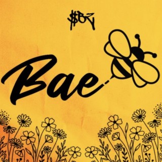 Bae Bee lyrics | Boomplay Music