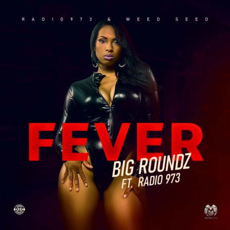 Fever ft. Radio 973 | Boomplay Music