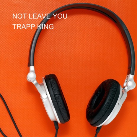 NOT LEAVE YOU | Boomplay Music