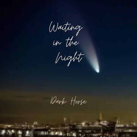 Waiting In The Night | Boomplay Music