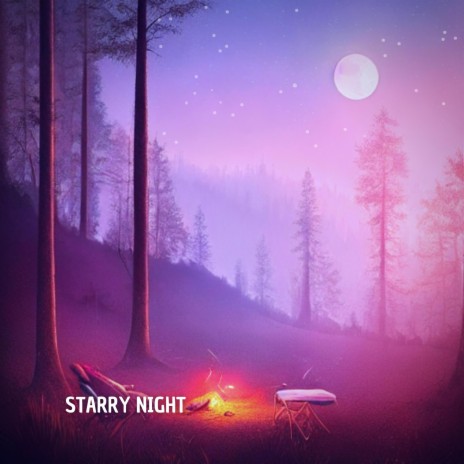 Starry Night | Boomplay Music